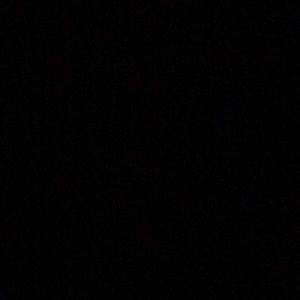 Meet your Posher, Chaz